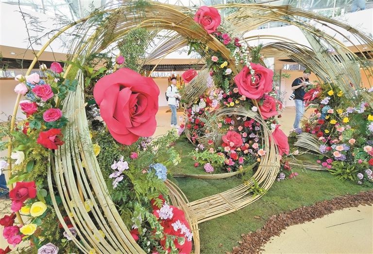 12博月季花展来了