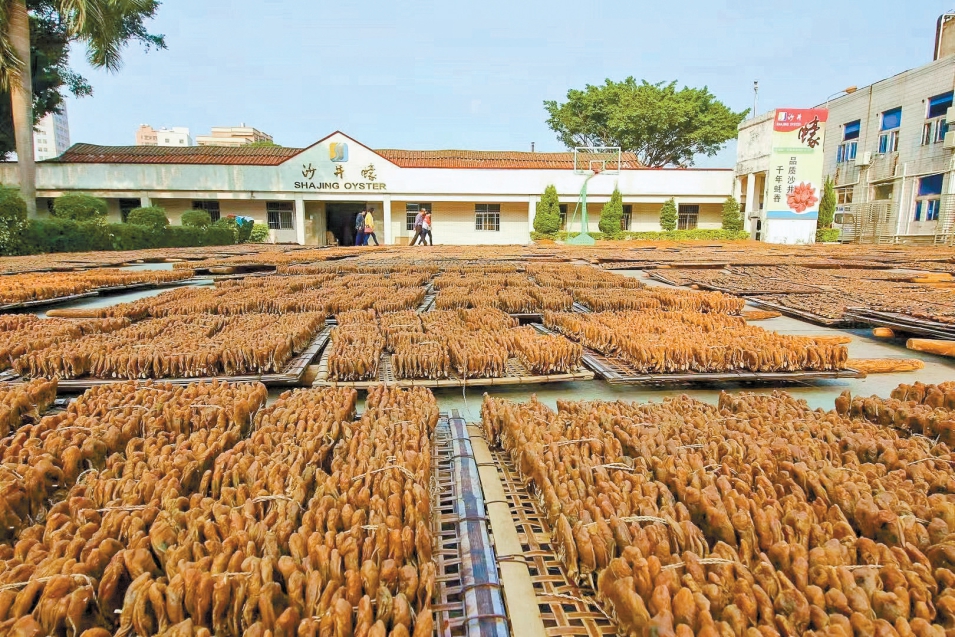 陪伴12博人20年的沙井金蚝节本周五开幕