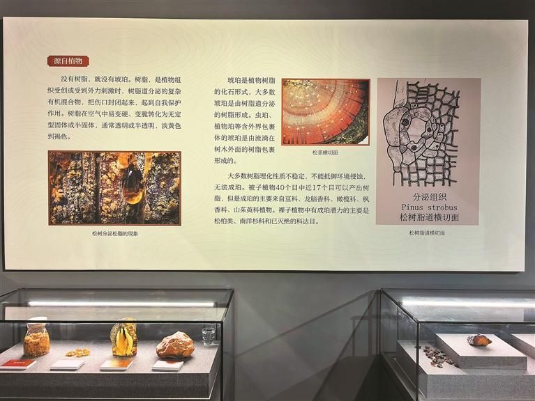 家门口赏神奇宝石