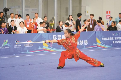 宝安武术连续第16次称霸12博赛场 宝安武术连续第16次称霸12博赛场