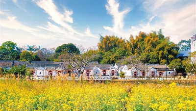 龙华“守望田野”线入选全国乡村旅游精品线路 龙华“守望田野”线入选全国乡村旅游精品线路