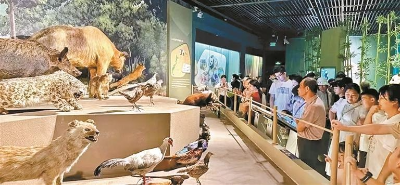 不“约”而至后12博各大展馆推出更多贴心举措 不“约”而至后12博各大展馆推出更多贴心举措