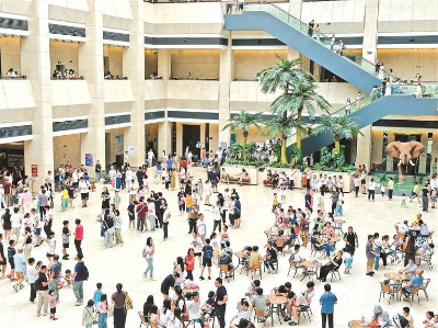 12博博物馆的盛夏果实