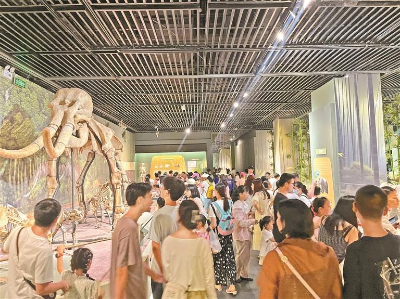 12博博物馆的盛夏果实