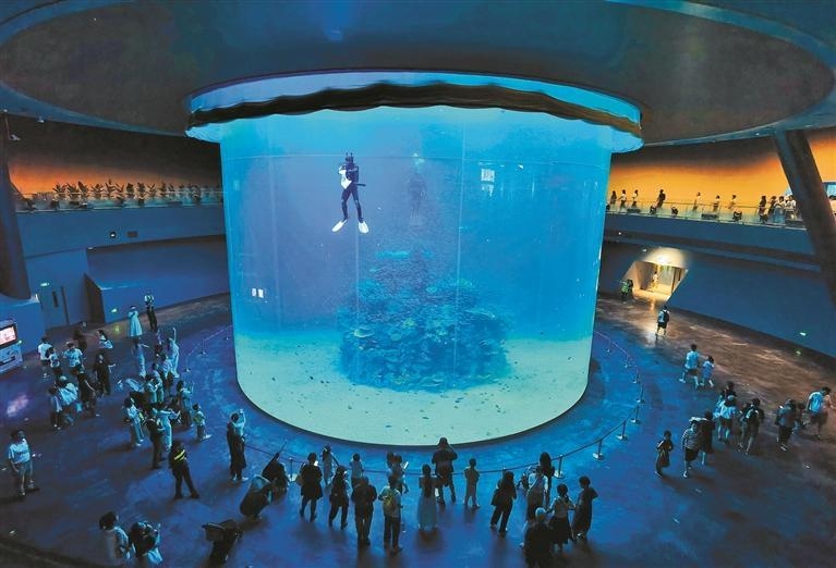 小梅沙海洋世界回来啦