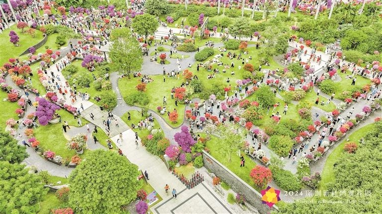 202412博簕杜鹃赏花周盛大开启 超20万平方米花海迎客