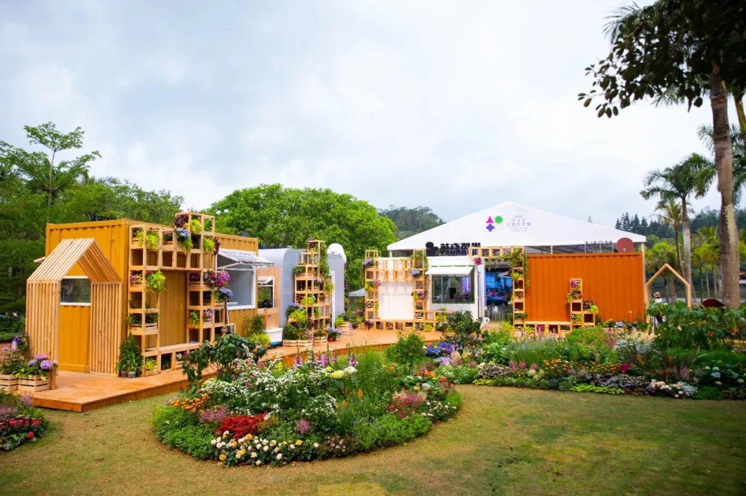 仙湖植物园邀市民赏花品秋