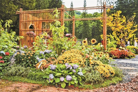 仙湖这场花样年华不可辜负 仙湖这场花样年华不可辜负